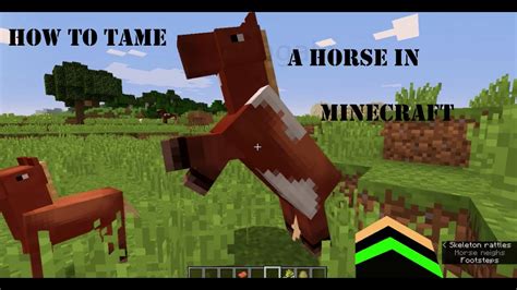 how to take a horse in minecraft